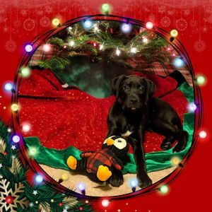 Meet your Posher, April